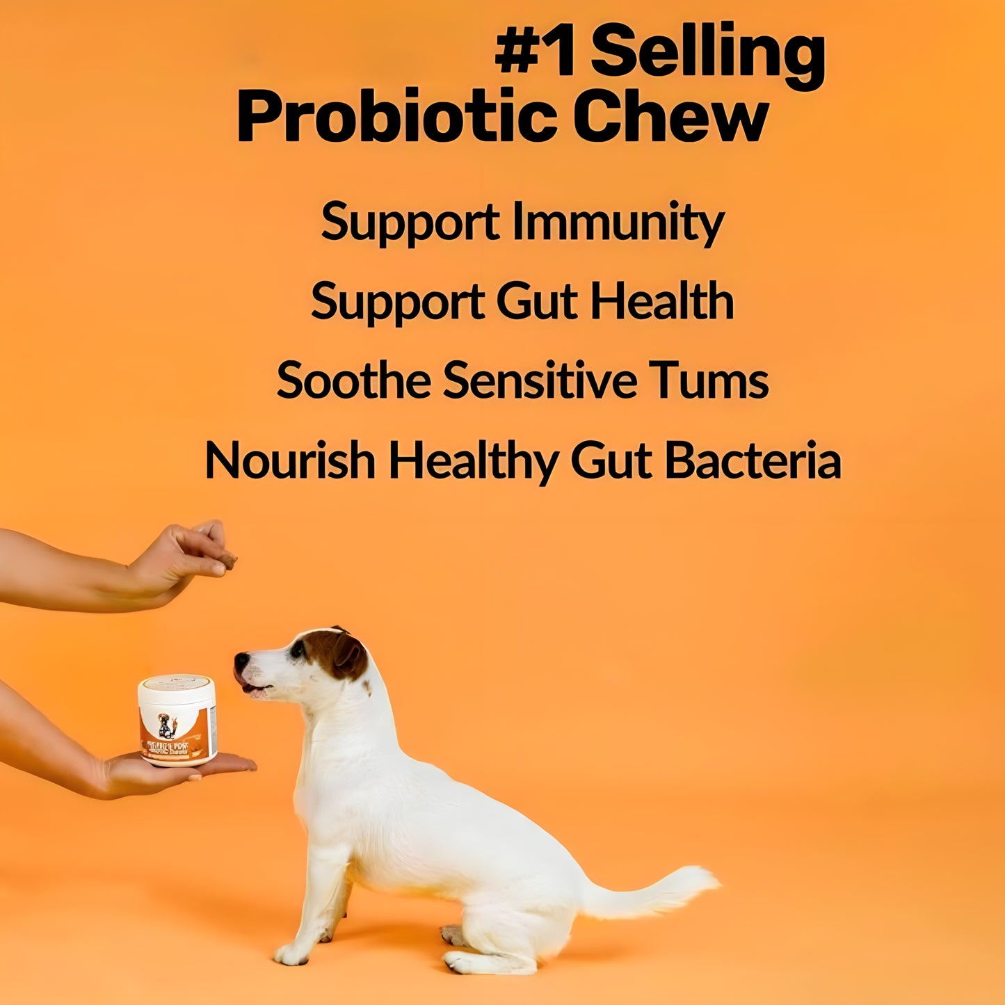 Synbiotics