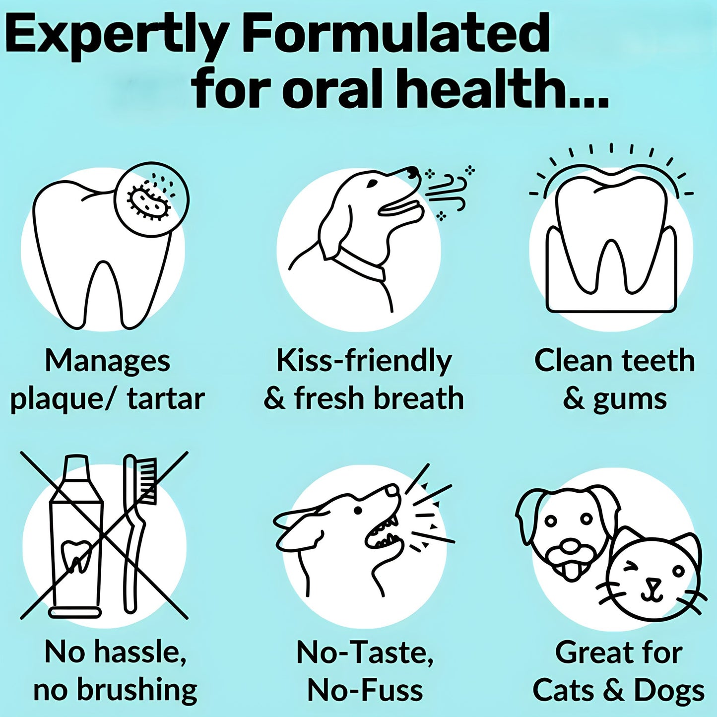Dental water — daily oral support, no brushing needed