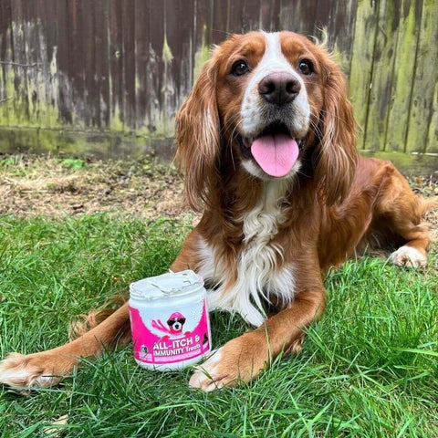 All-Itch Treats