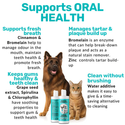 Dental water — daily oral support, no brushing needed