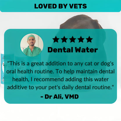Dental water — daily oral support, no brushing needed